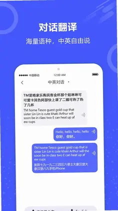 实时翻译预览图