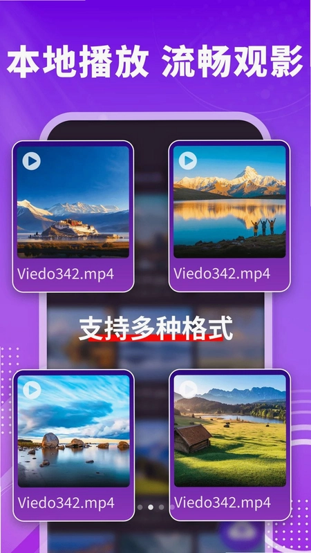 私人极速播放器预览图