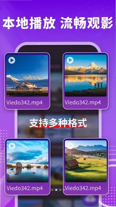 私人极速播放器预览图