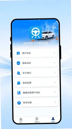 驾考模拟必看预览图