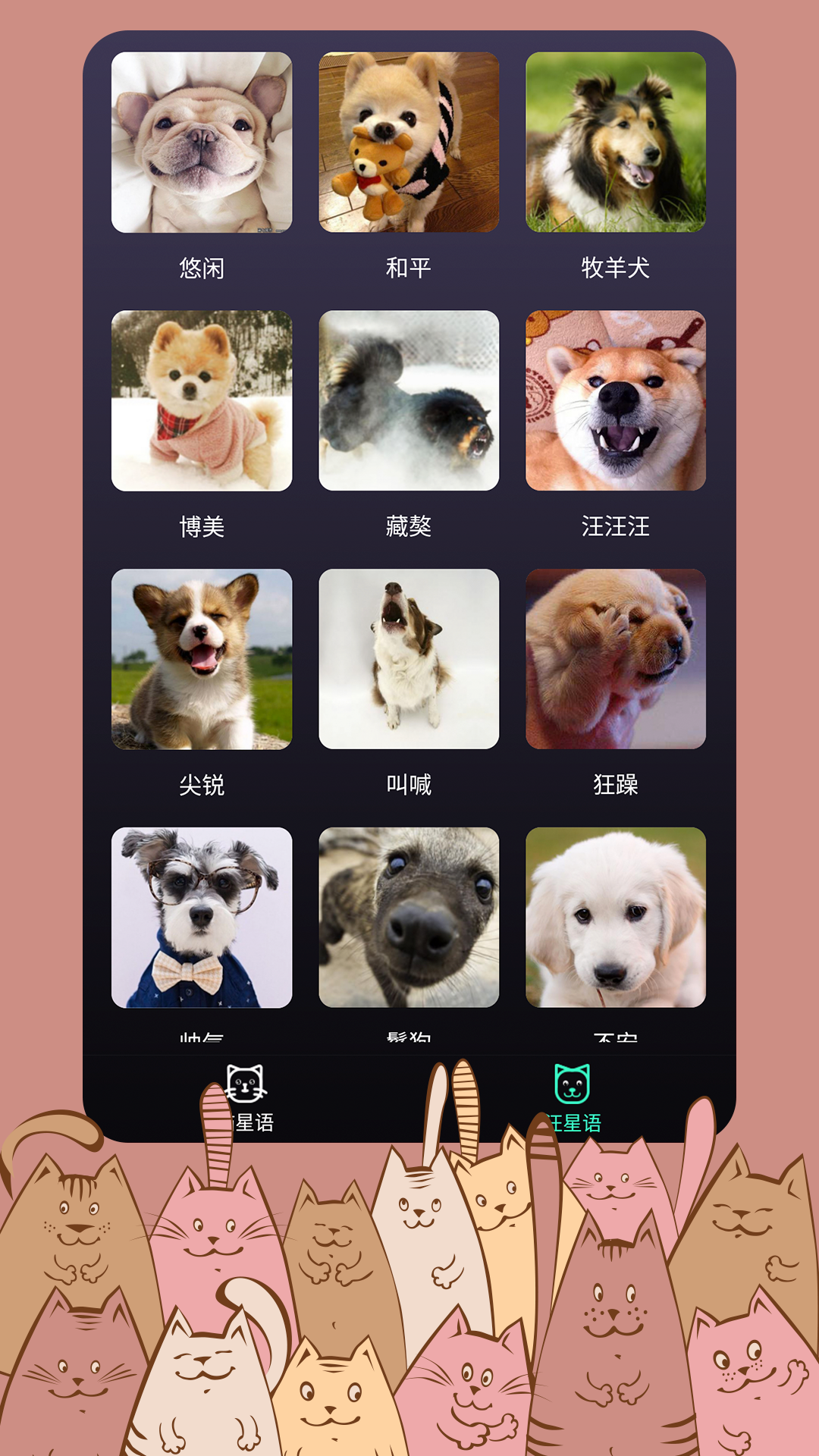 猫语翻译DeepTalk动物翻译器真实性测评