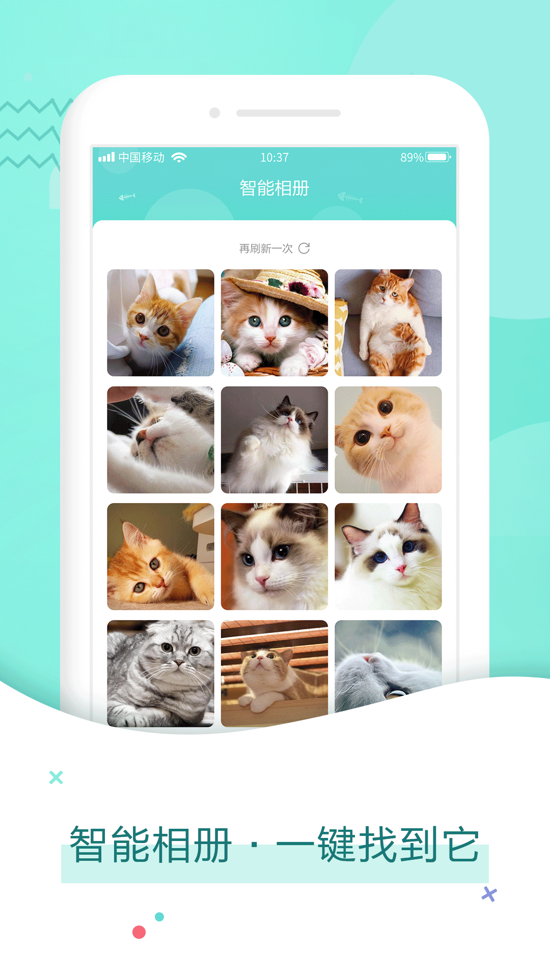 猫语翻译DeepTalk动物交流问答避坑经验分享