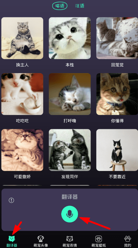猫语翻译DeepTalk动物翻译器日常使用技巧