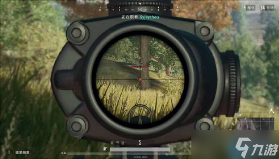 ǹ��è���ƶ���Ԥ��ѵ������