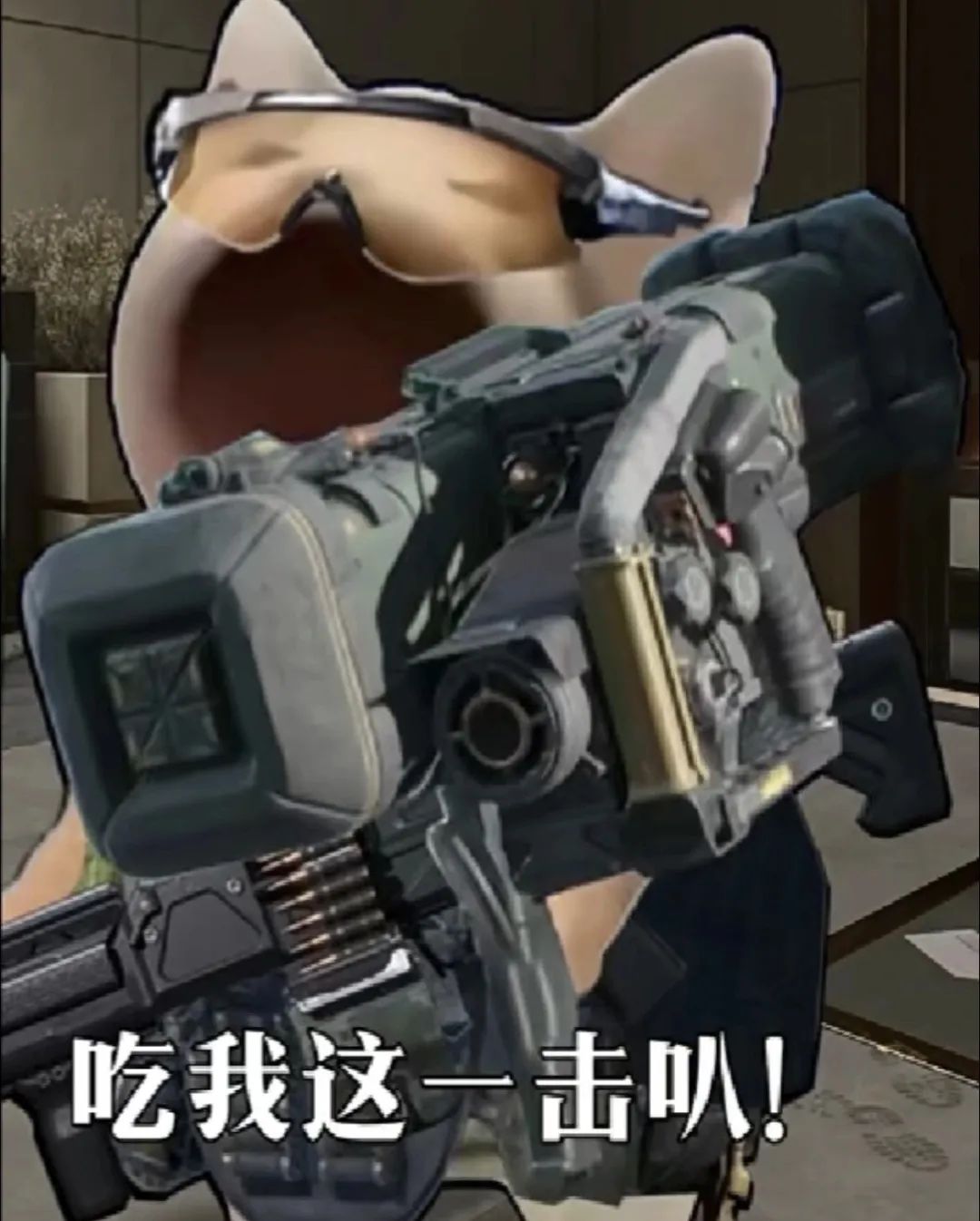 ǹ��è����ôѵ