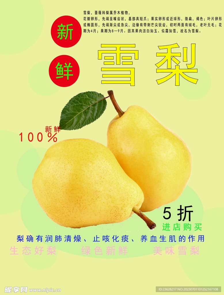 ѩ��֤������ô