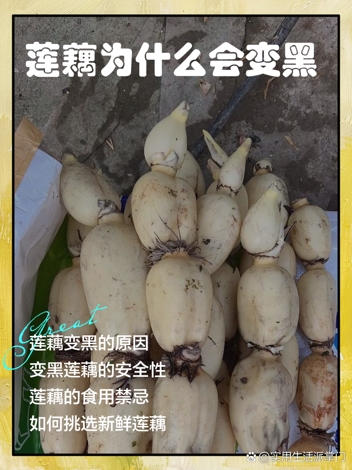 藕遇变苦原因