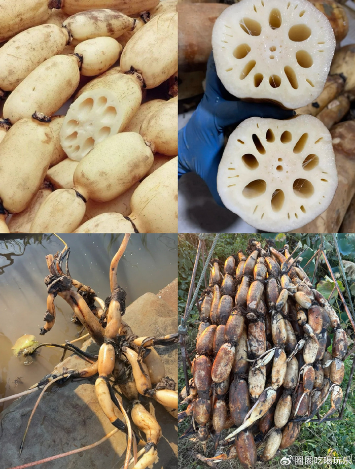 藕遇怎么样好吃吗