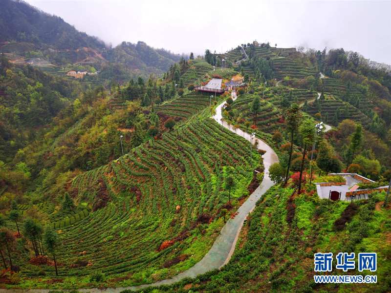 吃喝宜昌喝茶地方推荐