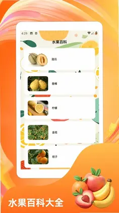 天降硕果预览图