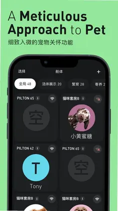 Pilton预览图