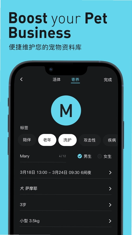 Pilton预览图