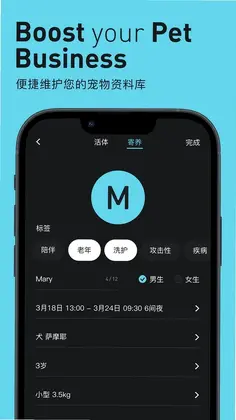 Pilton预览图