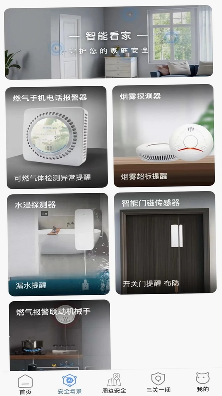 家安保预览图