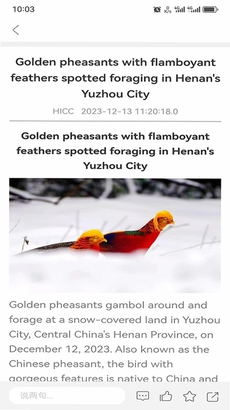 iHenan预览图