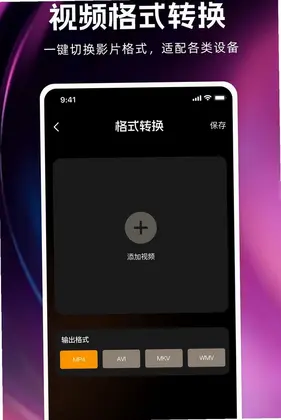 私人私密无痕播放器预览图