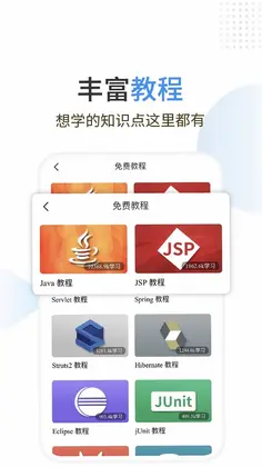 Java编程狮预览图