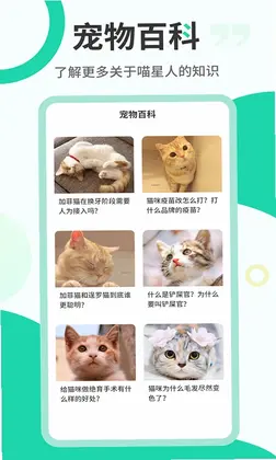 è�з����Ԥ��ͼ
