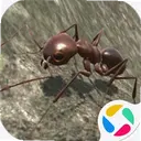 ����ģ����2.3.5 ���°�