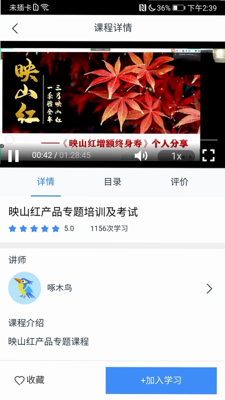 啄木鸟培训预览图