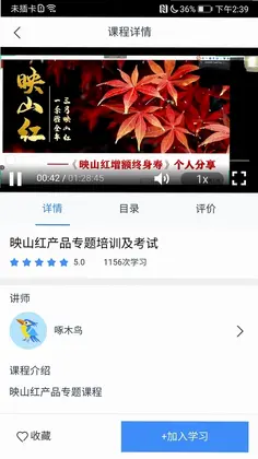 啄木鸟培训预览图