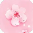 �һ���Ƶ1.3 ��׿��
