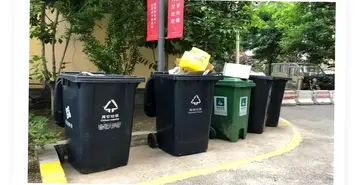 ������Ԥ��ͼ