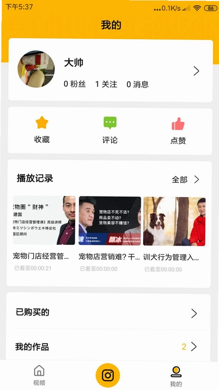 宠才大学预览图