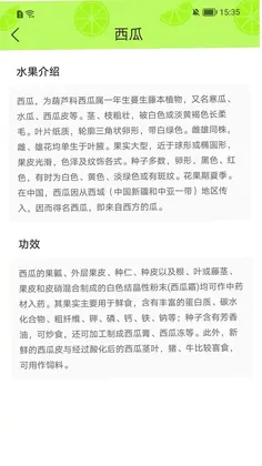 西瓜时光预览图