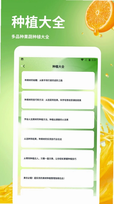 发财橙子预览图