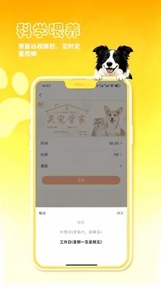 petCompanionR(���ܼ�)Ԥ��ͼ