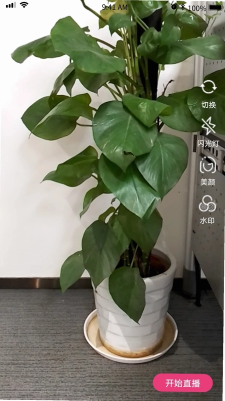 星云融媒预览图