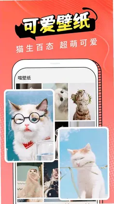 动物交流器预览图