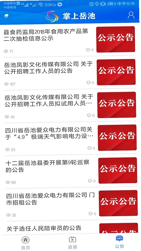 掌上岳池预览图