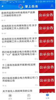 掌上岳池预览图