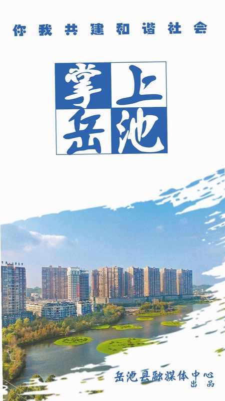 掌上岳池预览图
