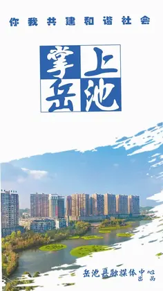 掌上岳池预览图