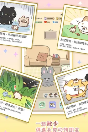 逗号家族萌宠交友最新版预览图