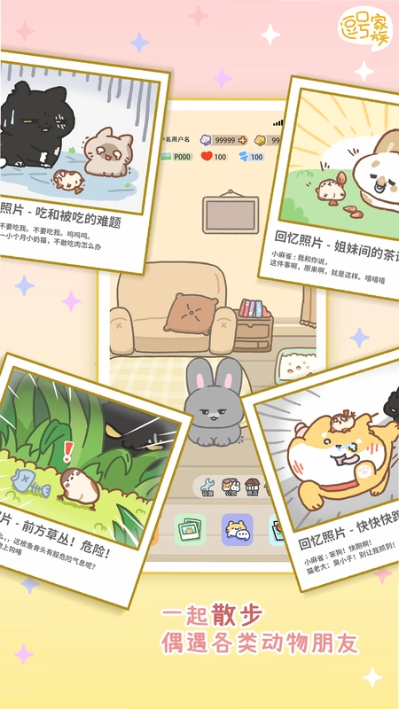 逗号家族萌宠交友最新版预览图