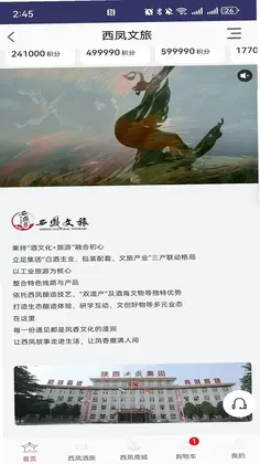 西凤文旅商城预览图