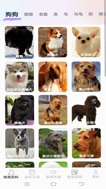 元气萌宠预览图