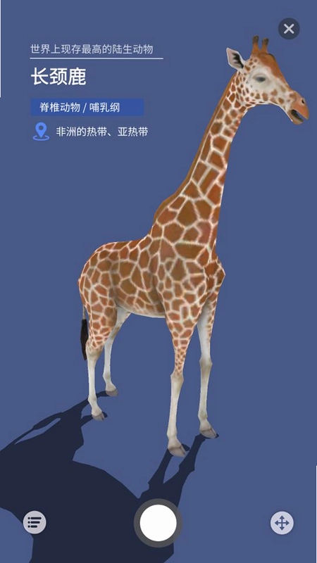 大眼探世界预览图