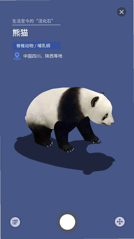 大眼探世界预览图