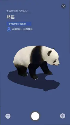 ����̽����Ԥ��ͼ