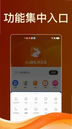 隐私浏览器预览图