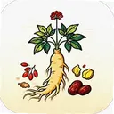��δ�������°�1.7 ��׿��