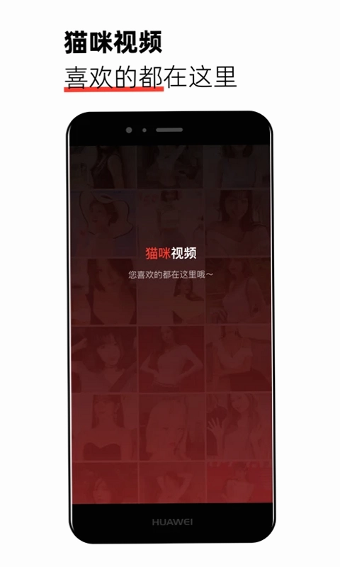 猫咪视频预览图