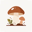 Ұ�������ݿ�1.0.4 ���°�