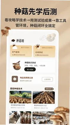 野生菌数据库预览图
