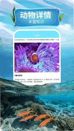 ��ɫˮ����appԤ��ͼ